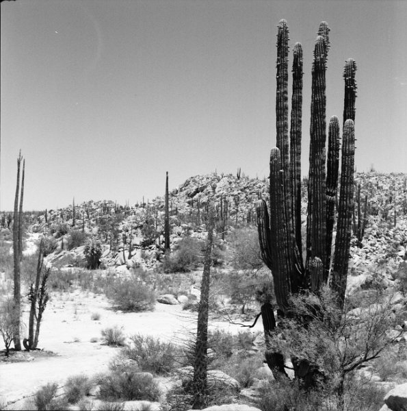 Baja 0009 (3)